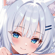 灌注专注小姐喵