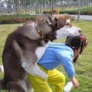 巭孬嫑夯昆勥茓