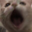 lyxtax