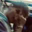 shud713:»