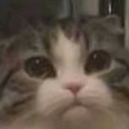 化肥挥发会发黑