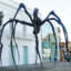 BioSpider