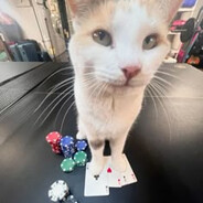 gambler