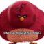 Im Da Biggest Bird