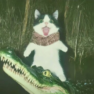 没有QQ星就要闹