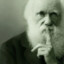 DARWIN BABY