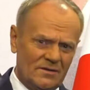 Samiec Beta