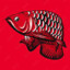 Arowana