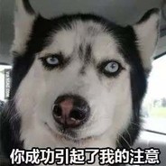 值得信赖的汪汪汪