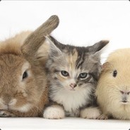 Big Avatar