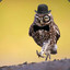 OWL Fashioned