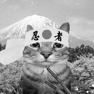 SraX - steam id 76561199506764374