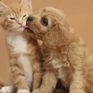 生死看淡，不服就干