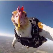 FlyCockVerick