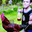 Chicken jockey
