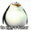 Te Van A Funar