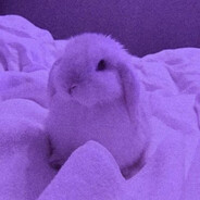 BUNNY67