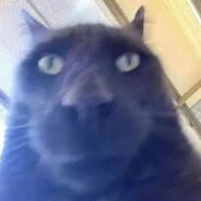 XyzXyz - steam id 76561198118216687