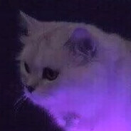 Король Королей