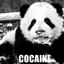 Cocaine Panda