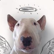 ✖˙·٠●• •●٠·✖