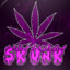 SkunK