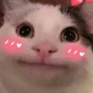 不会吉他的焯焯