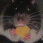Sigma Rat