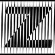 只有双泽可以嘛