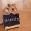 Hamster42