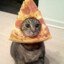 Pizza Cat