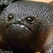 Изменить Имя Профиля