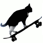 car on a sktaeboard