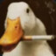Dutzy333