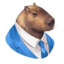 Mr. Capybara