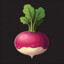 Reddish Turnip