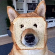 战术就是！干拉！