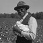 Cotton Picker Supervisor