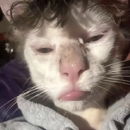 寨子巷第一深情