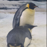 能和我打一辈子游戏吗