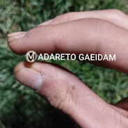 noobe sag hastam