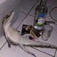 Evil Crocodile