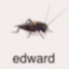 Edward