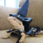 Lizard_Wizard