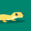 Gecko