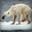 Anorexic Bear