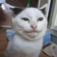 Chihuas