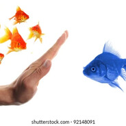 Overly Political Goldfish