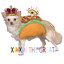 Xinxiu™