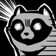 「 ✦ Da-Raccoon ✦ 」